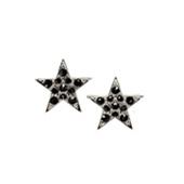 Örhängen - Star Cover Earring Black/silver